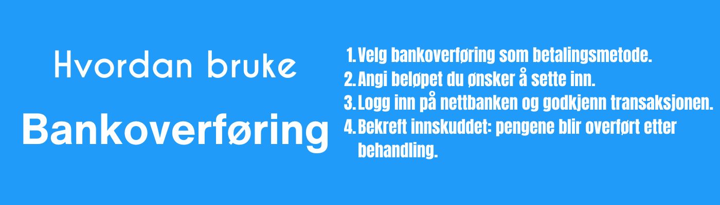 hvordan bruke Bankoverføring